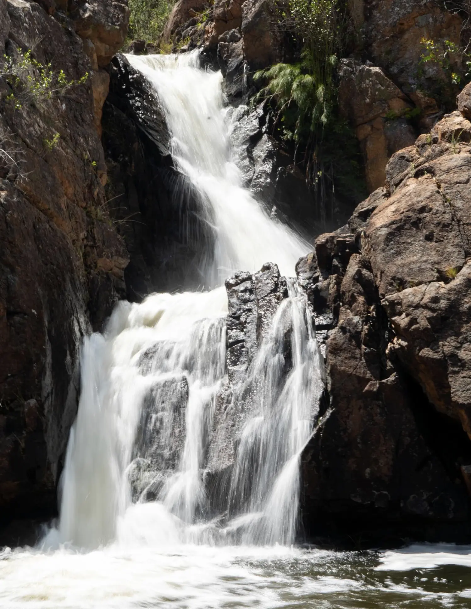 McKenzie Falls