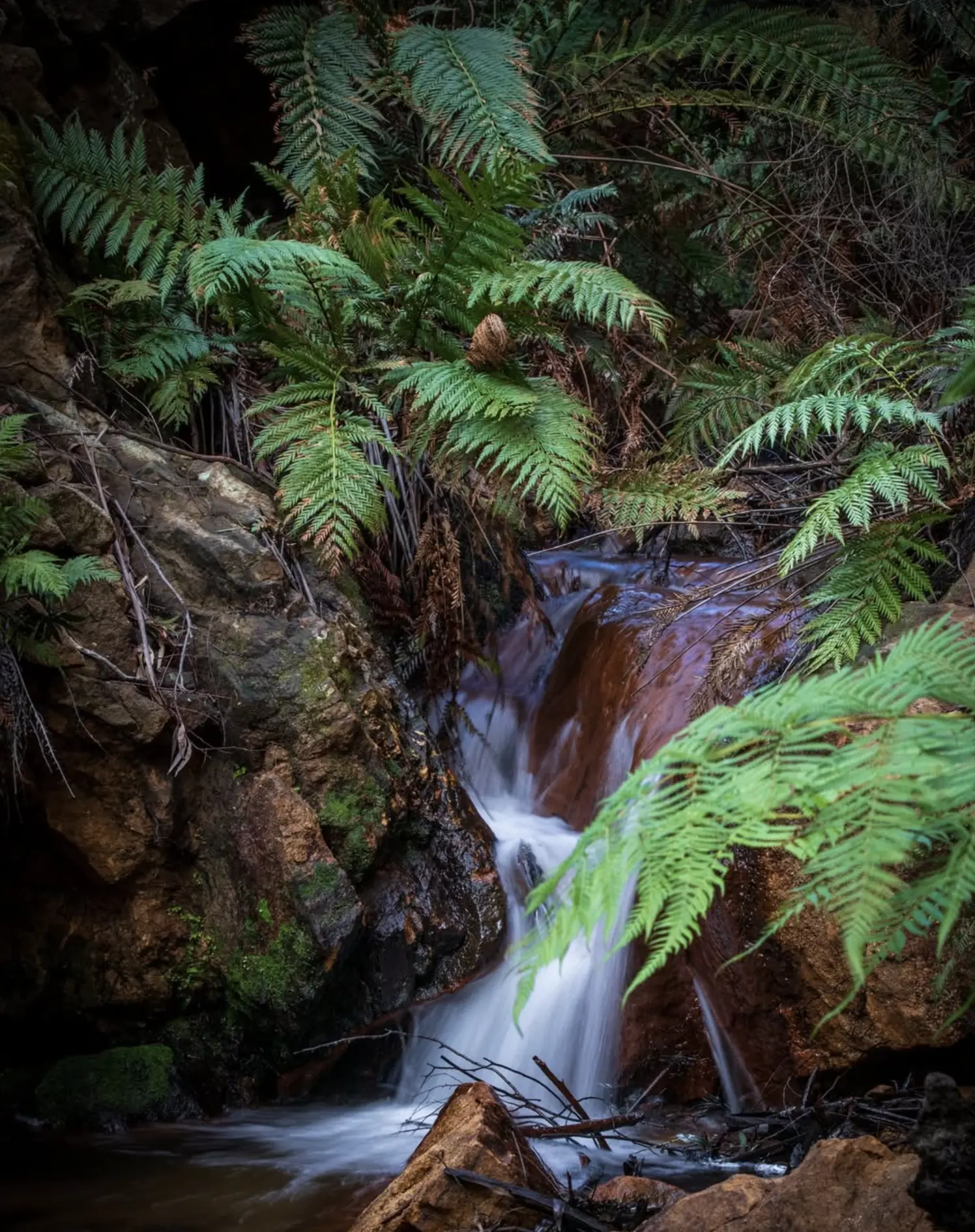 Wentworth Falls