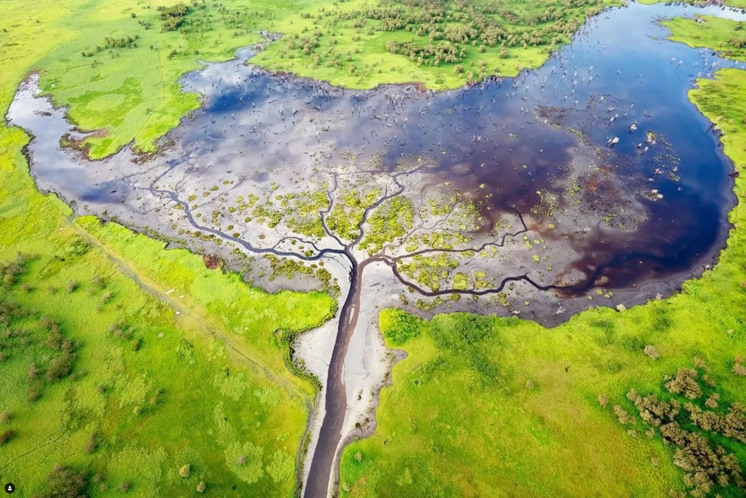 abundance of wildlife, Kakadu